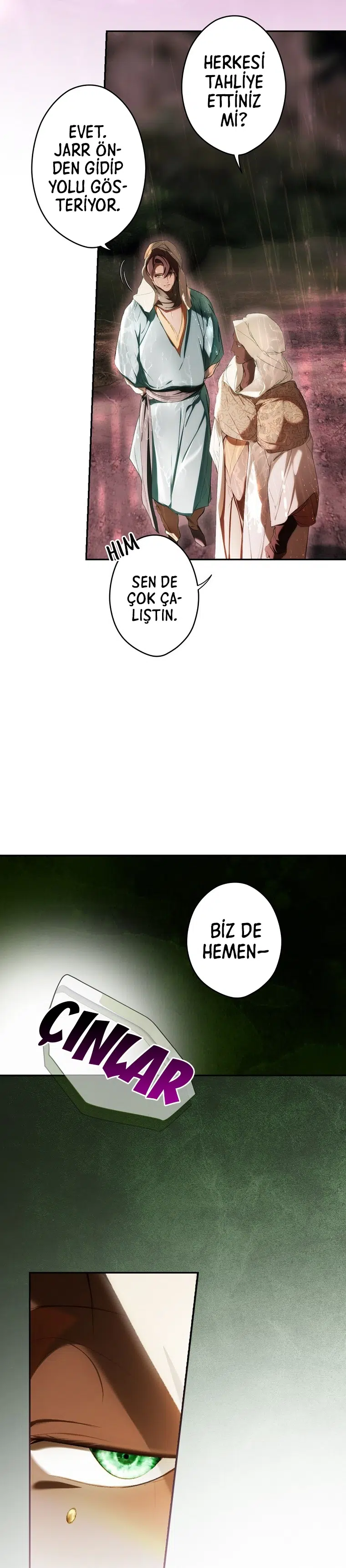 Kimliğini Gizleyen Leydi - Bölüm 91 Sayfa 14