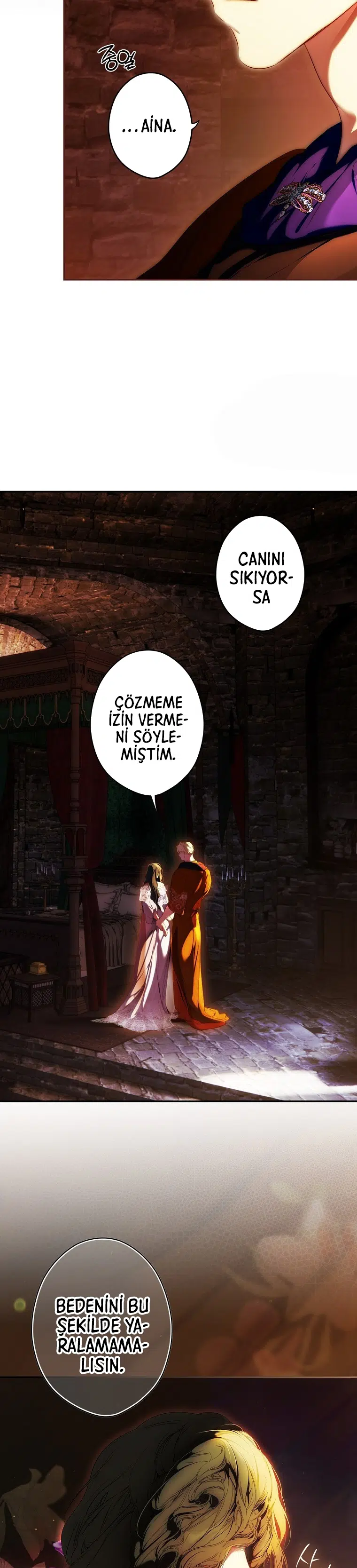 Kimliğini Gizleyen Leydi - Bölüm 92 Sayfa 11