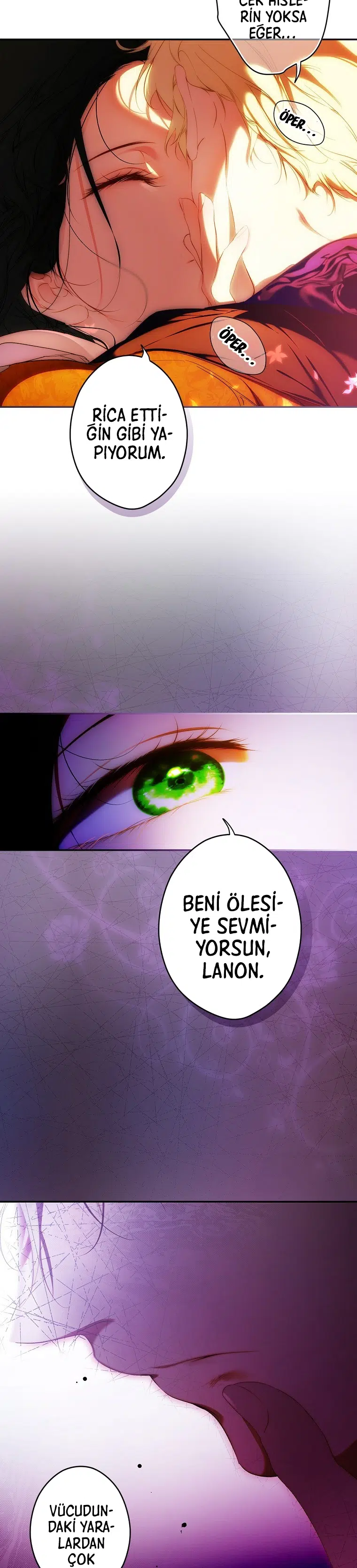 Kimliğini Gizleyen Leydi - Bölüm 92 Sayfa 15