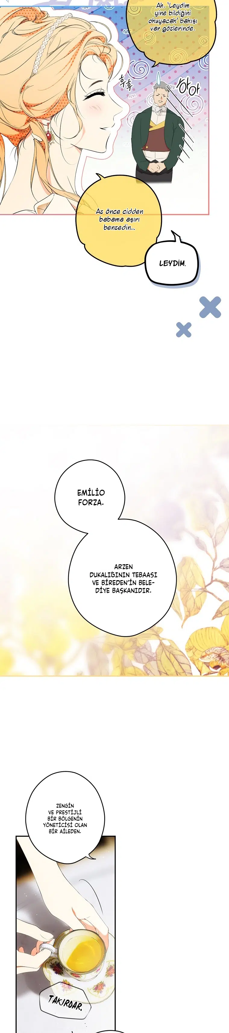 Kimliğini Gizleyen Leydi - Bölüm 94 Sayfa 14