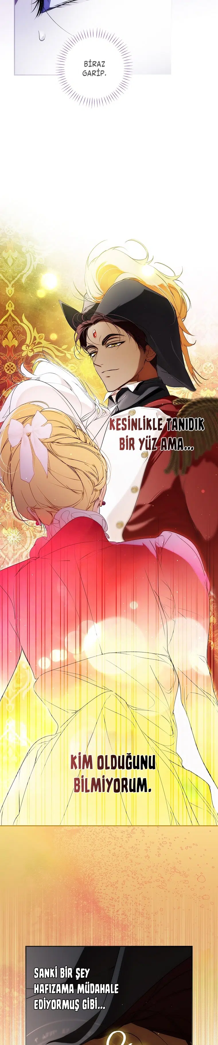 Kimliğini Gizleyen Leydi - Bölüm 95 Sayfa 14