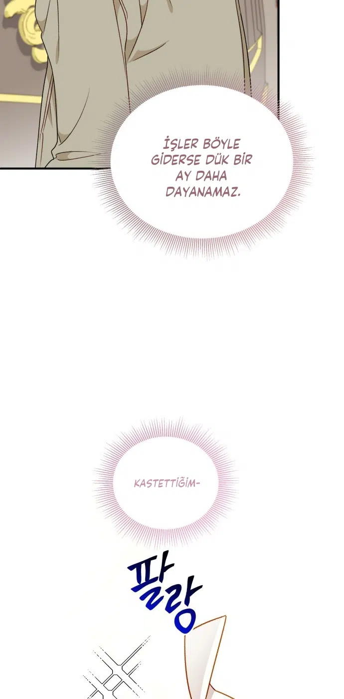 Kahramanın Üvey Annesi Olmak İçin Kandırıldım - Bölüm 76 Sayfa 17