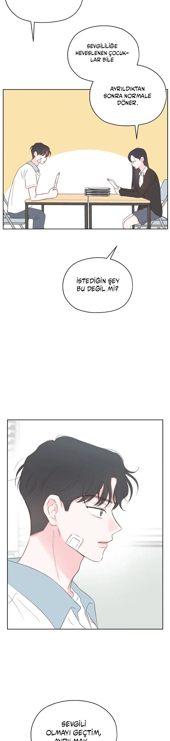 Sahte Aşkım - Bölüm 12 Sayfa 29