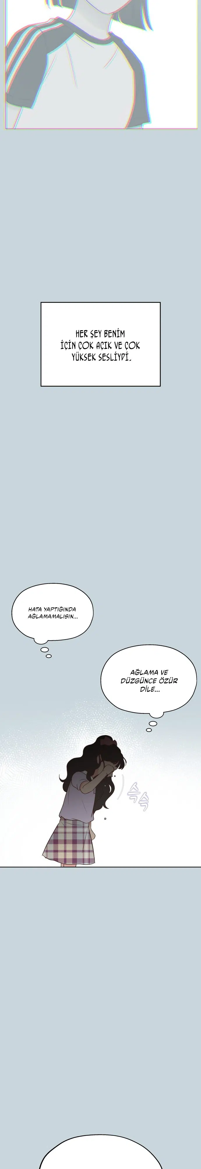 Sahte Aşkım - Bölüm 13 Sayfa 17