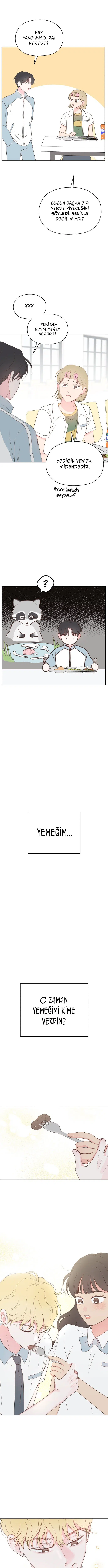 Sahte Aşkım - Bölüm 19 Sayfa 17