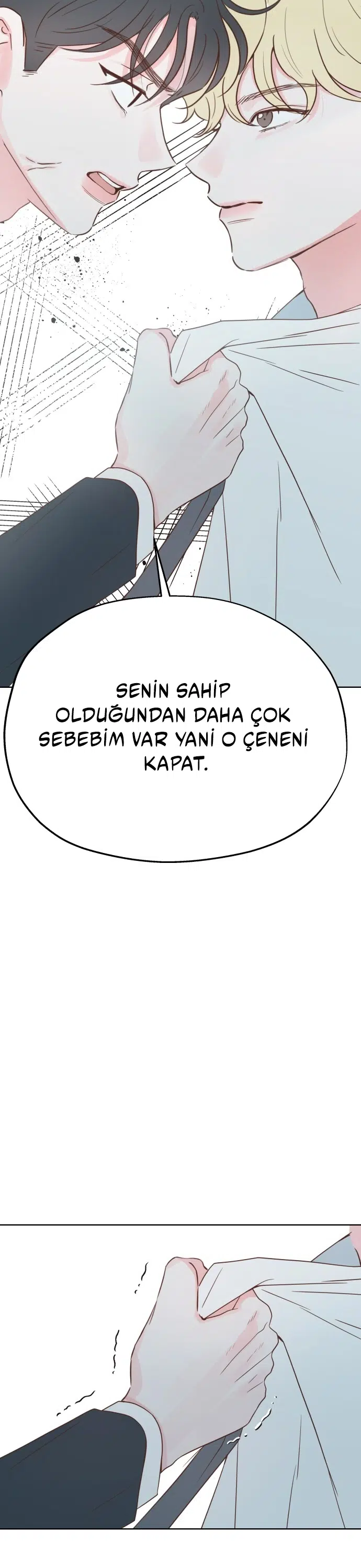 Sahte Aşkım - Bölüm 25 Sayfa 12