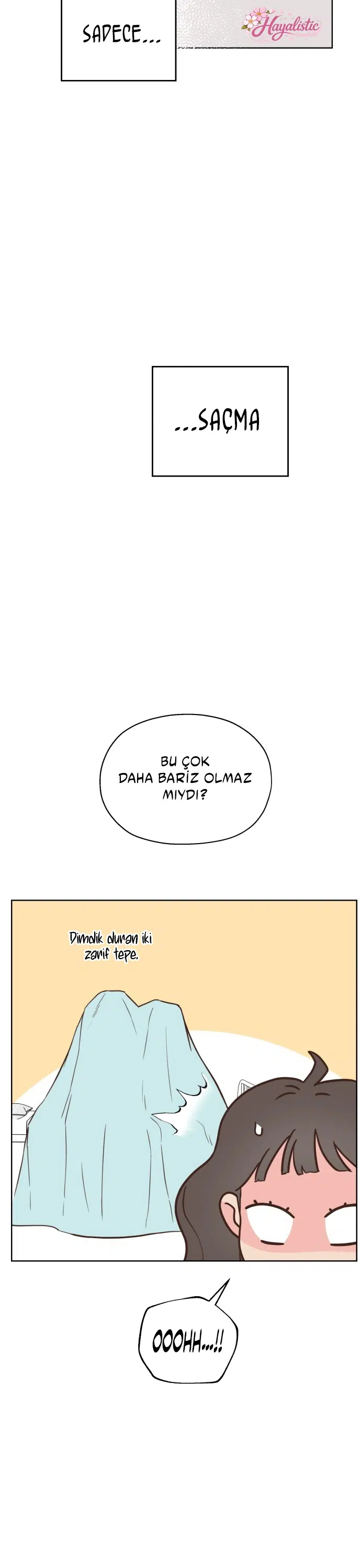 Sahte Aşkım - Bölüm 25 Sayfa 34