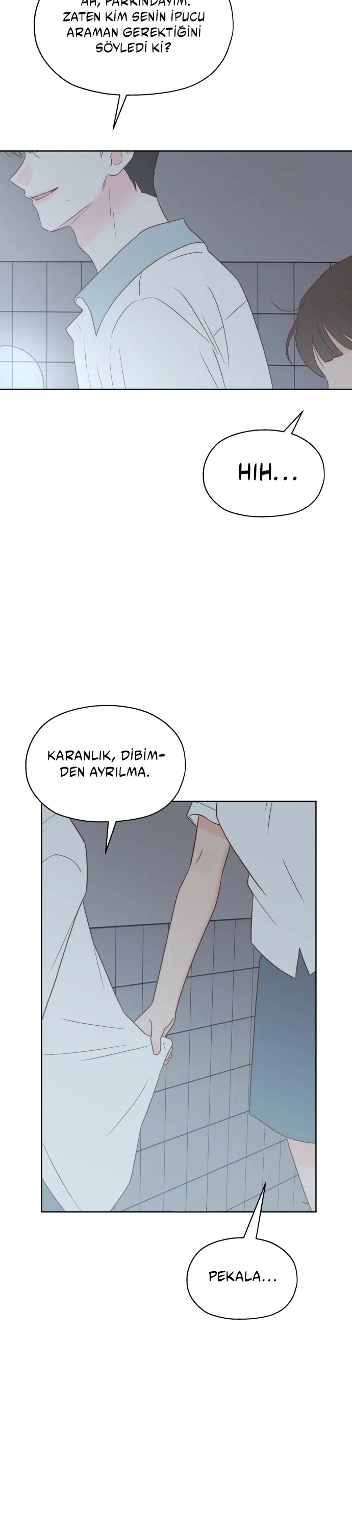 Sahte Aşkım - Bölüm 27 Sayfa 28