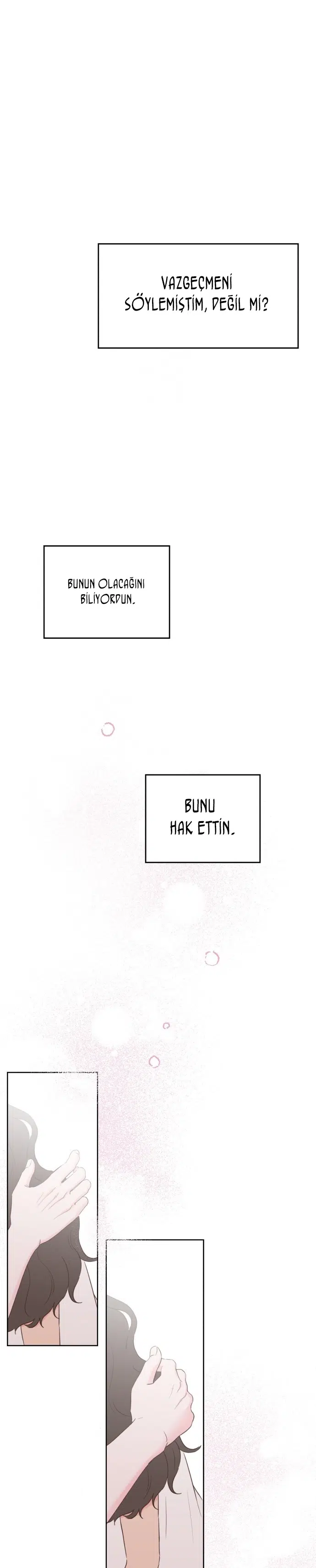 Sahte Aşkım - Bölüm 32 Sayfa 32