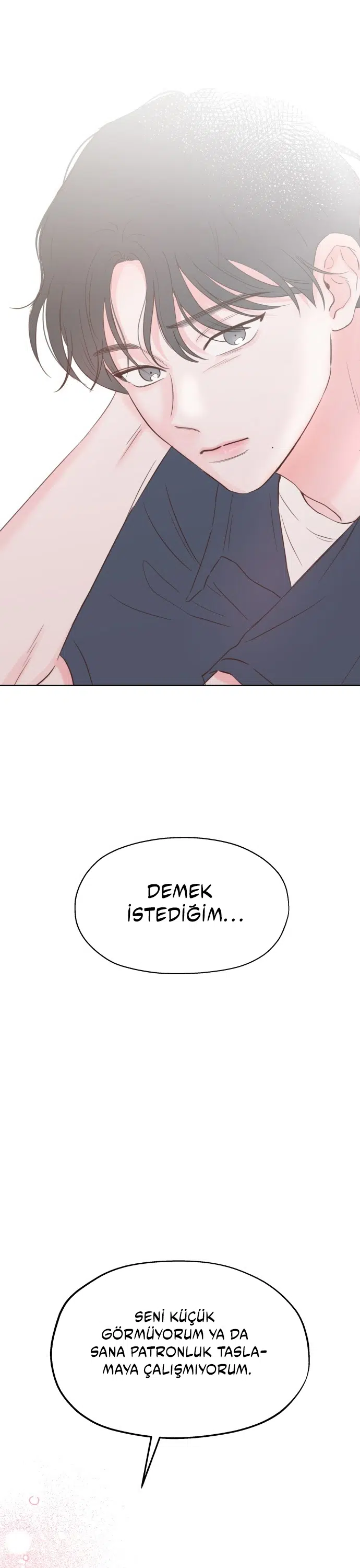 Sahte Aşkım - Bölüm 33 Sayfa 14