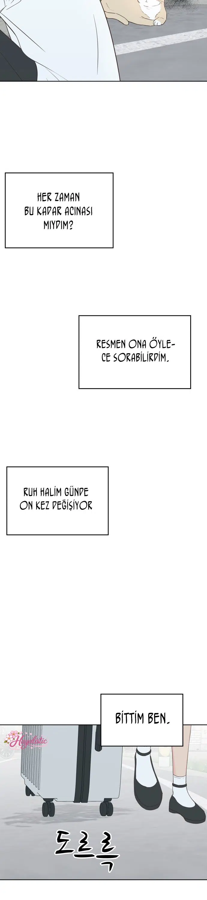 Sahte Aşkım - Bölüm 35 Sayfa 17