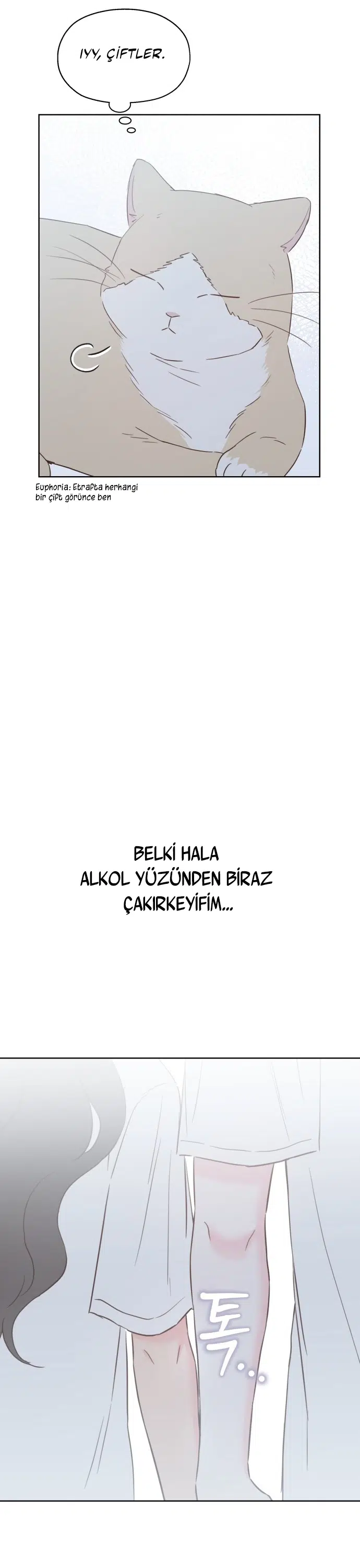 Sahte Aşkım - Bölüm 37 Sayfa 28
