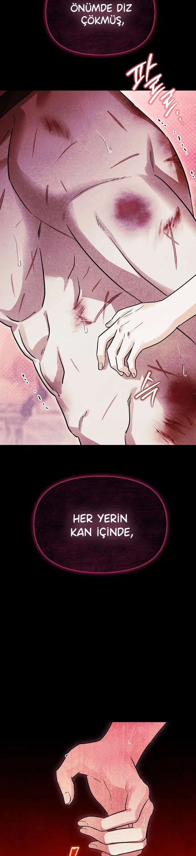 Deli Köpeği Zincire Vurdum - Bölüm 60 Sayfa 13