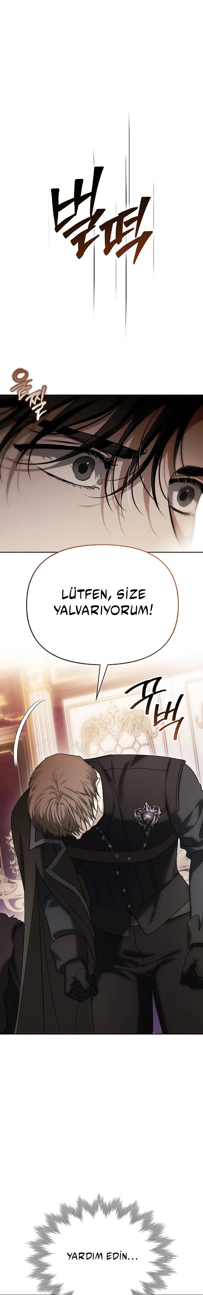 Deli Köpeği Zincire Vurdum - Bölüm 78 Sayfa 29