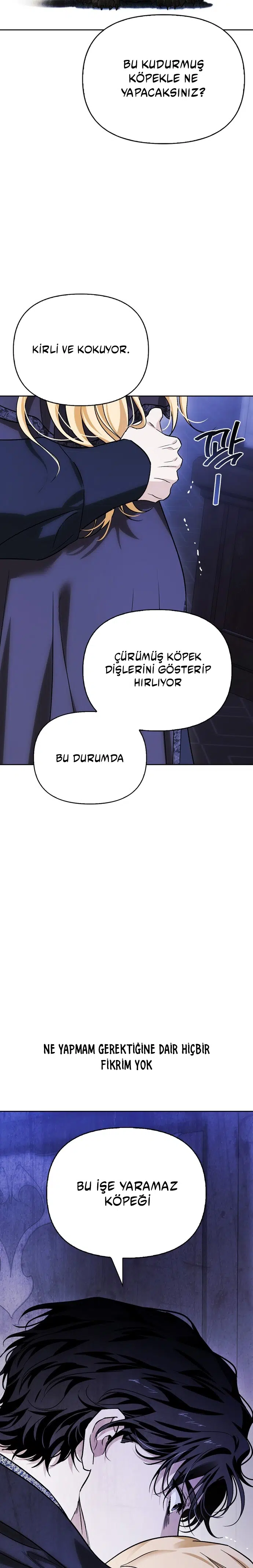 Deli Köpeği Zincire Vurdum - Bölüm 84 Sayfa 23