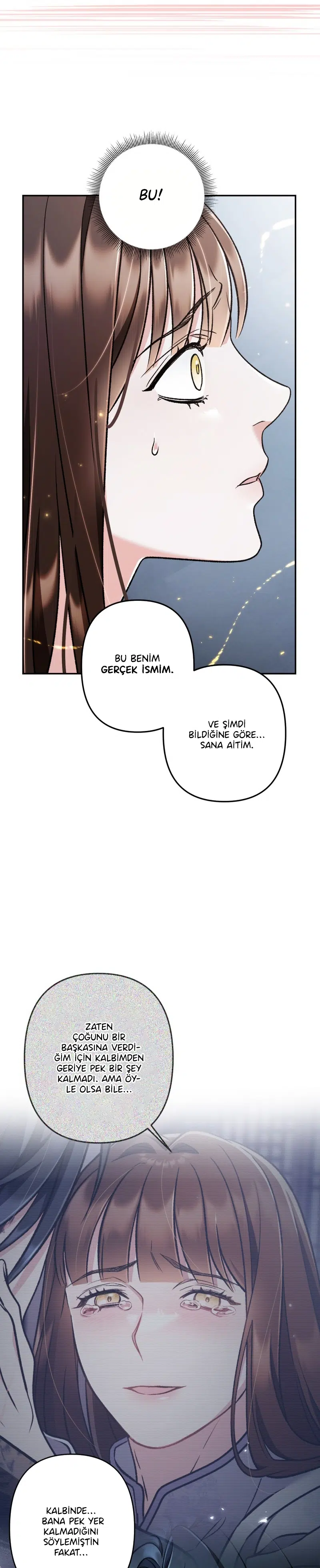 Alacakaranlığın Şarkısı - Bölüm 69 Sayfa 29