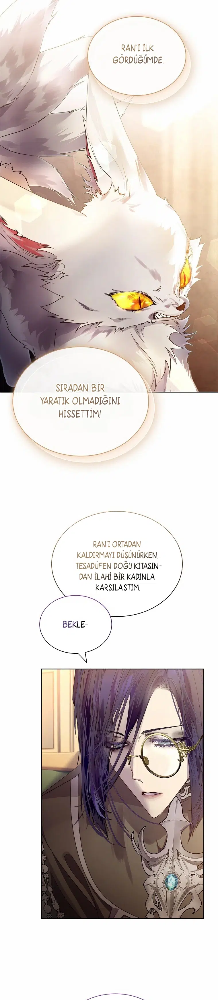 Dokuz Kuyruklu Tilkiyi Yanlış Büyüttüm - Bölüm 17 Sayfa 11