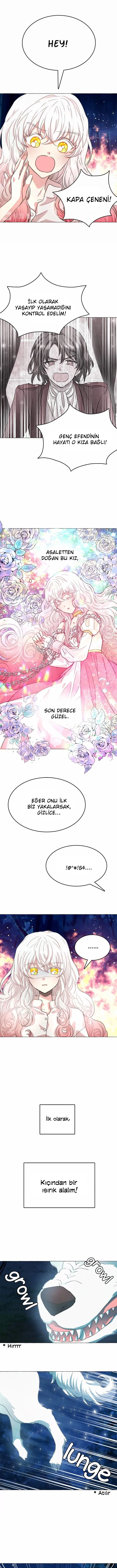 Ay Cadısı ve Güneş Kralı - Bölüm 6 Sayfa 4