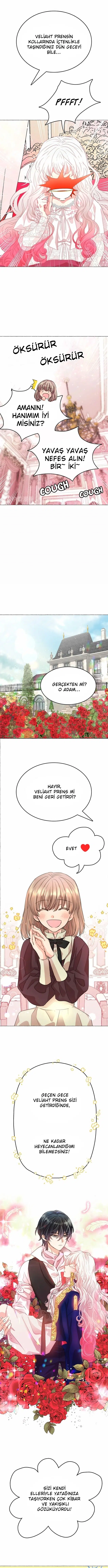 Ay Cadısı ve Güneş Kralı - Bölüm 7 Sayfa 8