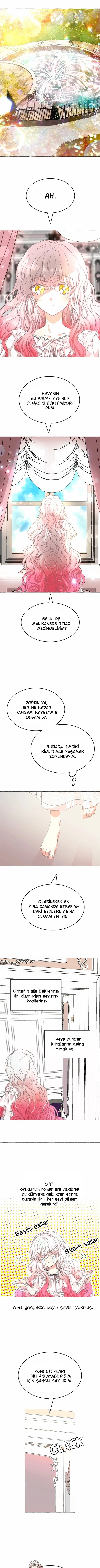 Ay Cadısı ve Güneş Kralı - Bölüm 8 Sayfa 2