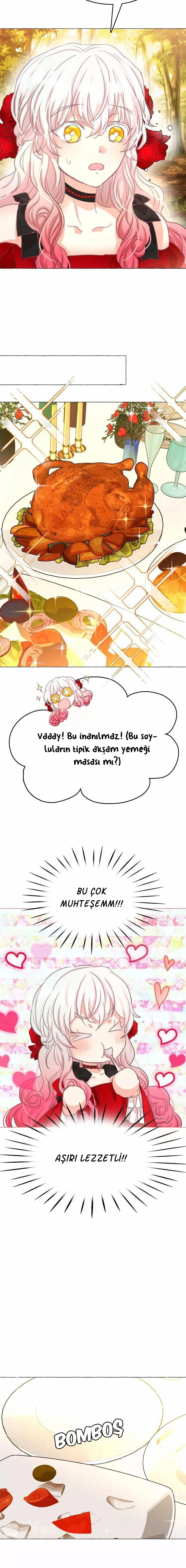 Ay Cadısı ve Güneş Kralı - Bölüm 9 Sayfa 14
