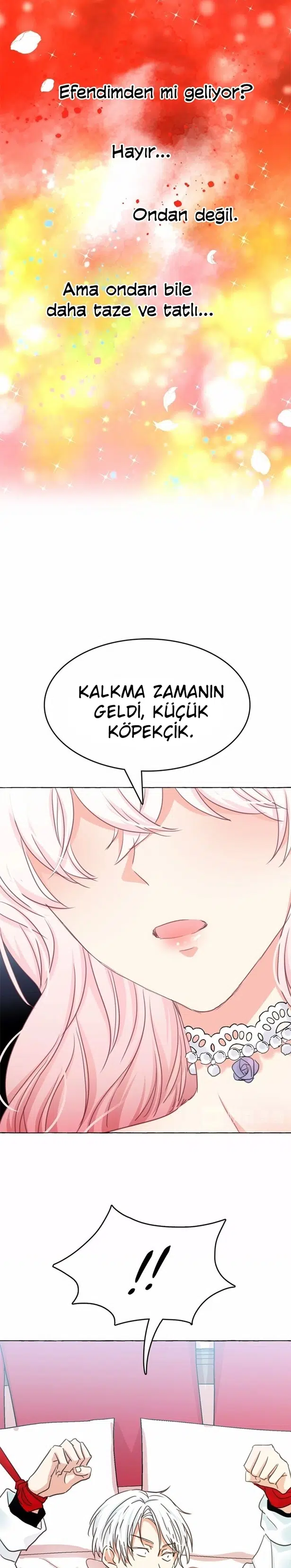 Ay Cadısı ve Güneş Kralı - Bölüm 15 Sayfa 10