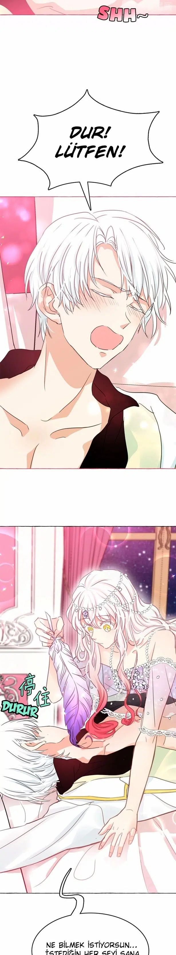 Ay Cadısı ve Güneş Kralı - Bölüm 15 Sayfa 16