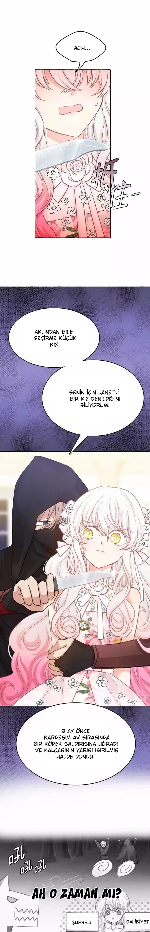 Ay Cadısı ve Güneş Kralı - Bölüm 20 Sayfa 2
