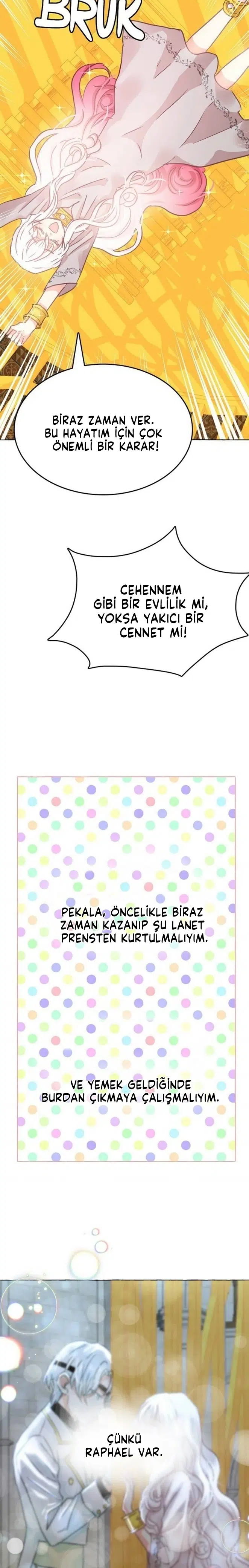 Ay Cadısı ve Güneş Kralı - Bölüm 23 Sayfa 13