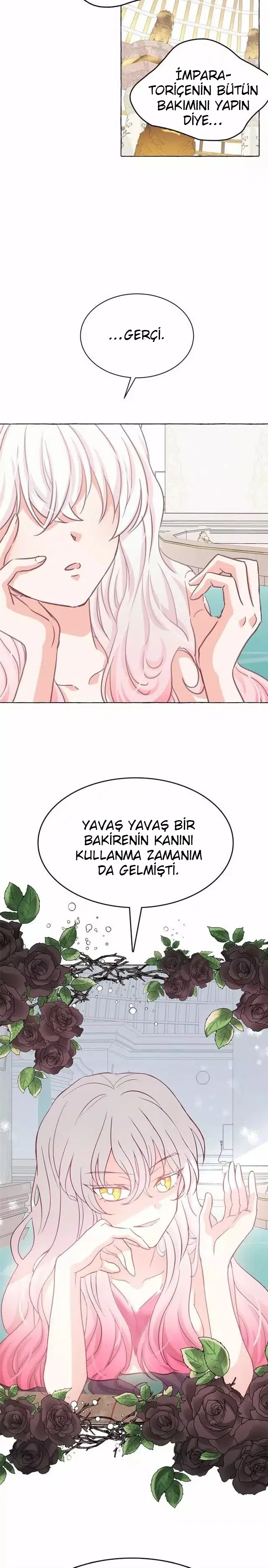 Ay Cadısı ve Güneş Kralı - Bölüm 24 Sayfa 10