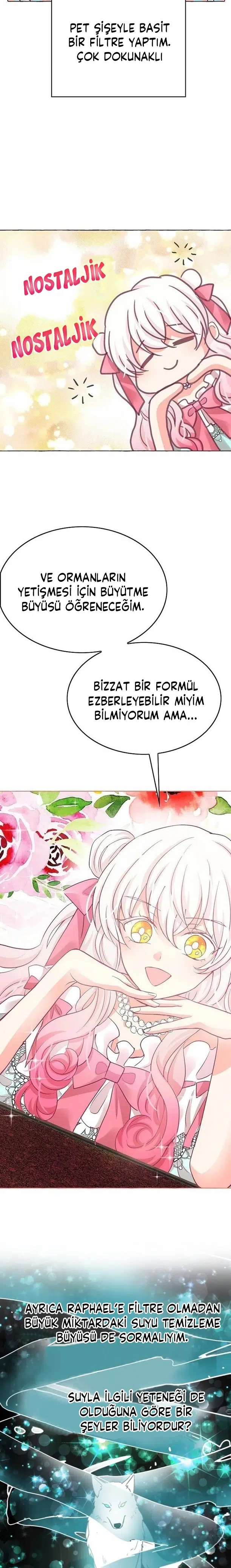 Ay Cadısı ve Güneş Kralı - Bölüm 27 Sayfa 17
