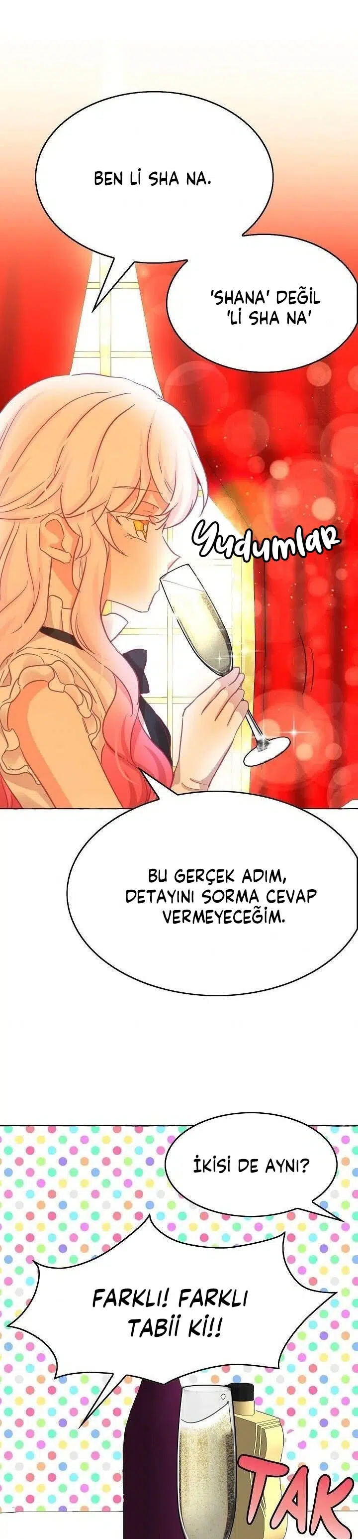 Ay Cadısı ve Güneş Kralı - Bölüm 31 Sayfa 22
