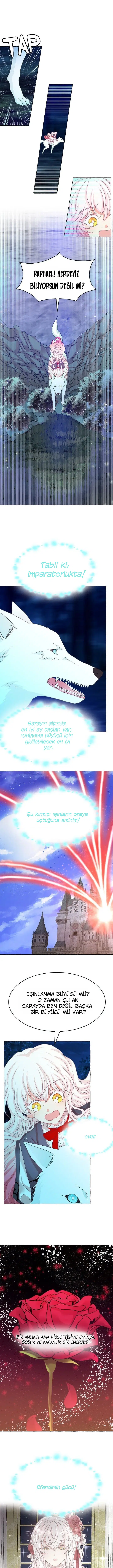 Ay Cadısı ve Güneş Kralı - Bölüm 39 Sayfa 2