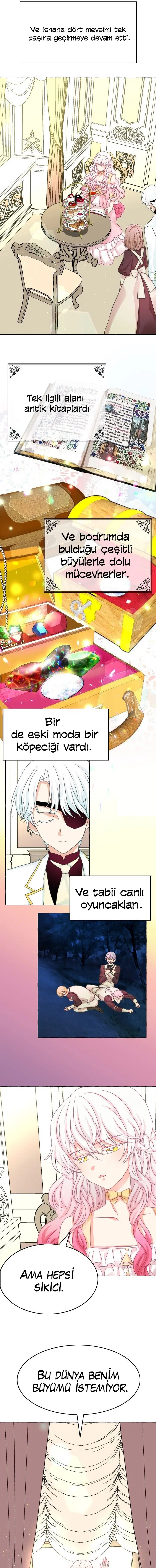 Ay Cadısı ve Güneş Kralı - Bölüm 40 Sayfa 11