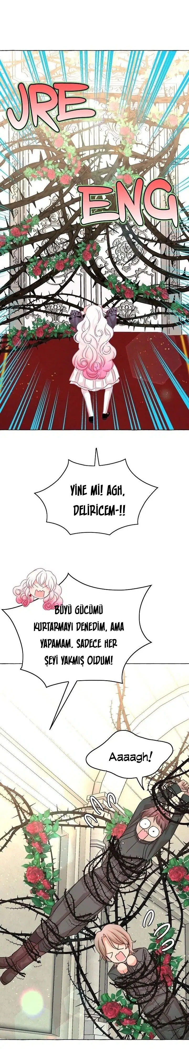Ay Cadısı ve Güneş Kralı - Bölüm 43 Sayfa 11