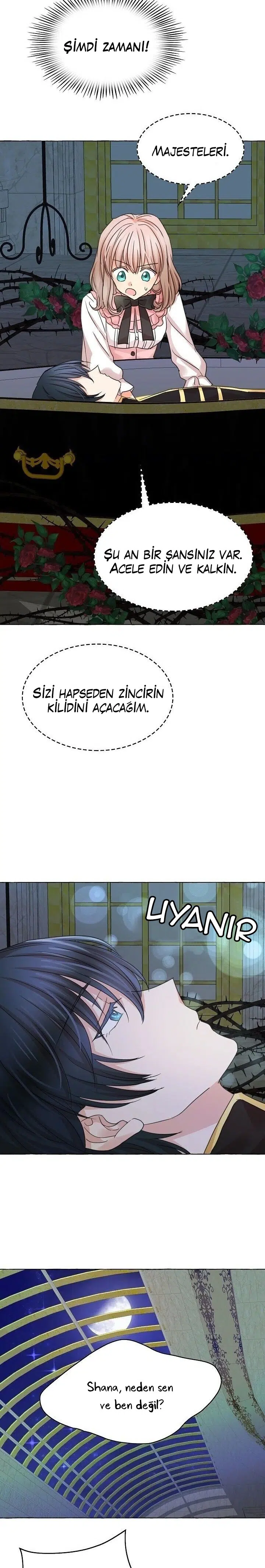 Ay Cadısı ve Güneş Kralı - Bölüm 43 Sayfa 20