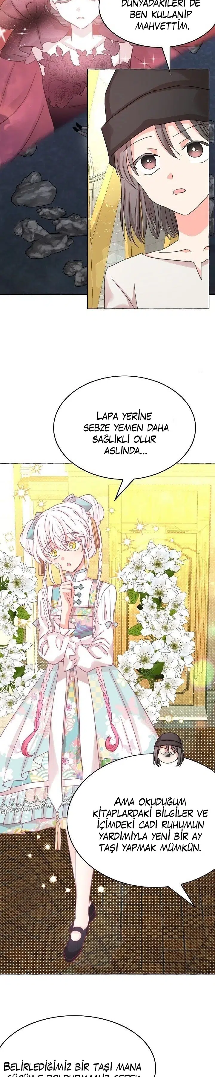Ay Cadısı ve Güneş Kralı - Bölüm 46 Sayfa 15