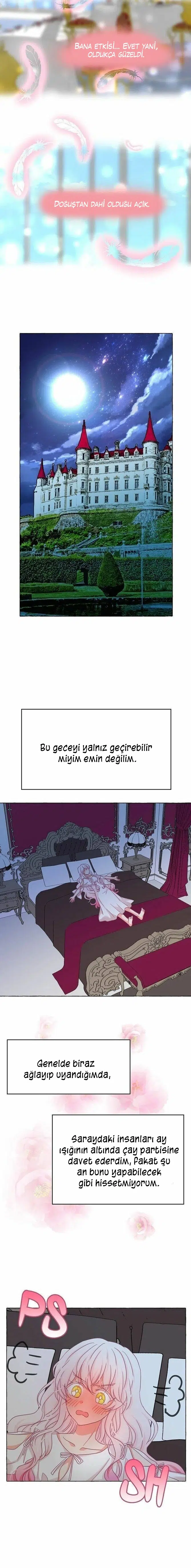 Ay Cadısı ve Güneş Kralı - Bölüm 48 Sayfa 8