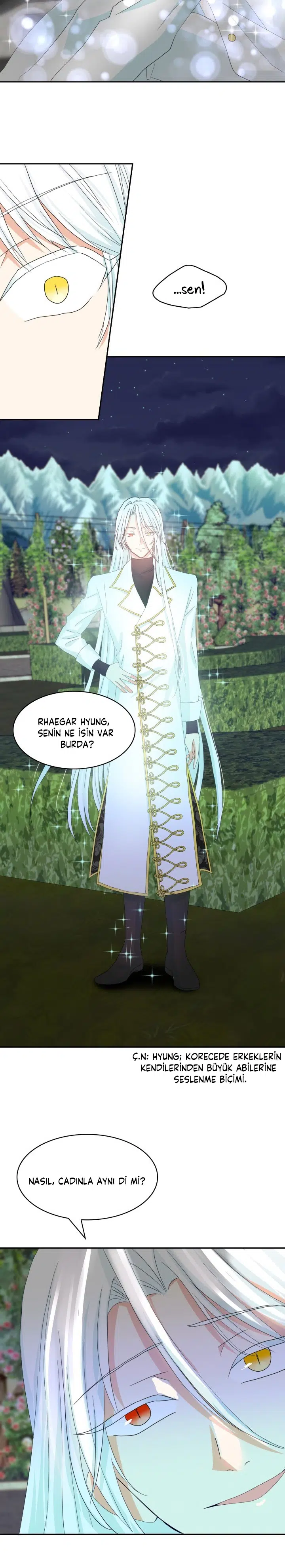 Ay Cadısı ve Güneş Kralı - Bölüm 53 Sayfa 3