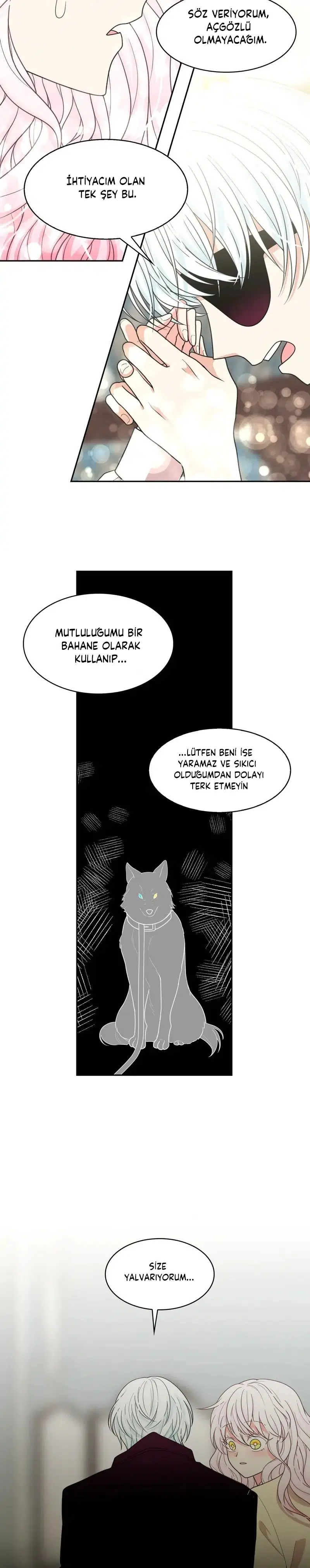 Ay Cadısı ve Güneş Kralı - Bölüm 69 Sayfa 17