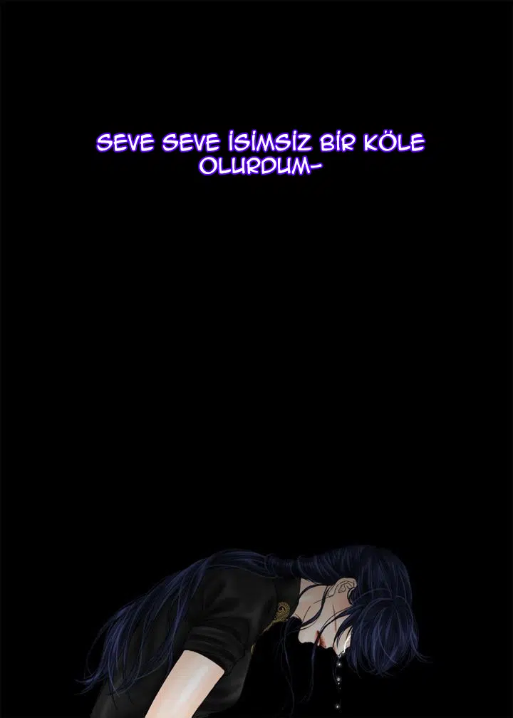 Şahin Hanedanının Kılıcı - Bölüm 41 Sayfa 22