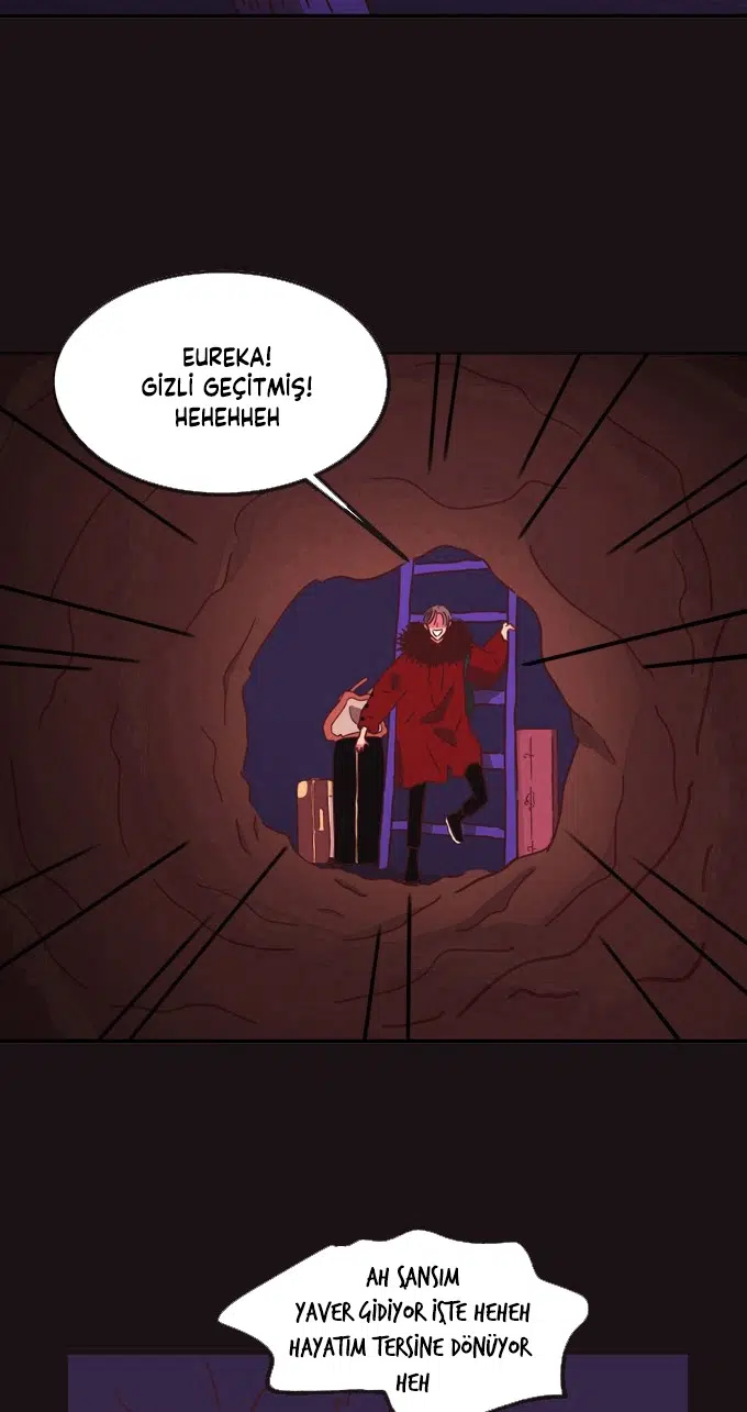 Seradaki Süs Bitkisi - Bölüm 1 Sayfa 51