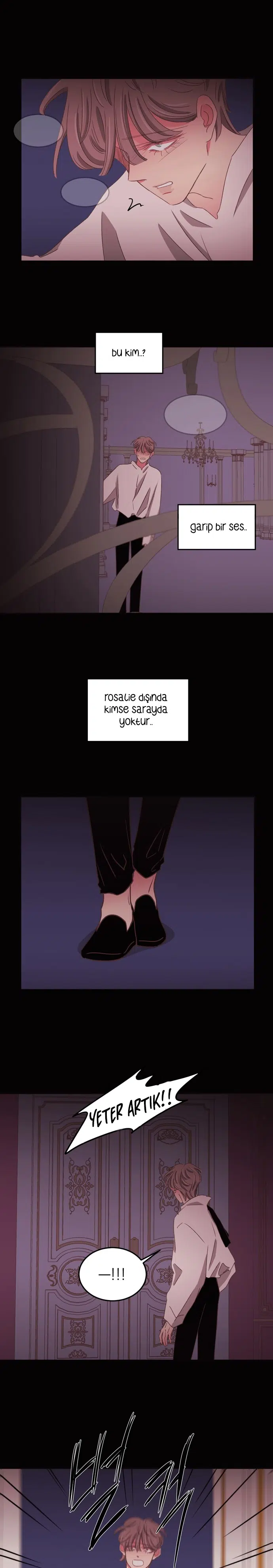 Seradaki Süs Bitkisi - Bölüm 84 Sayfa 13