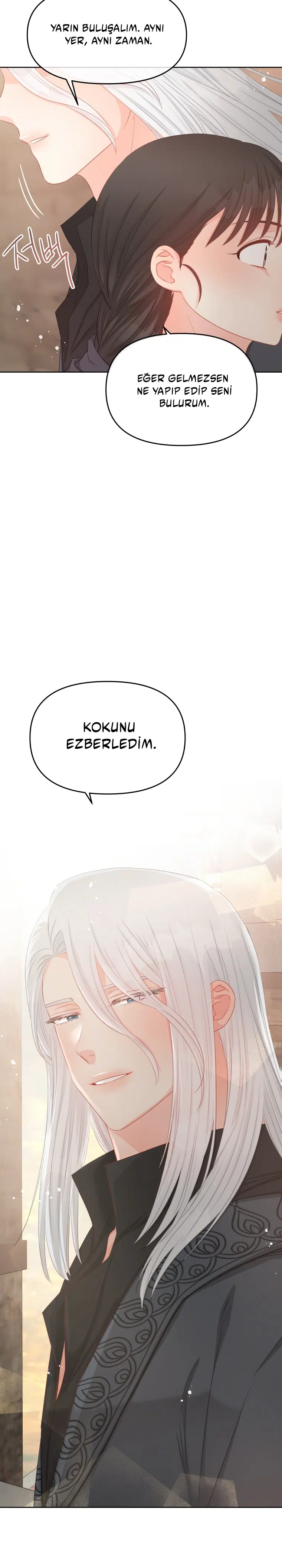 Kitabı Görmezden Gel - Bölüm 71 Sayfa 31