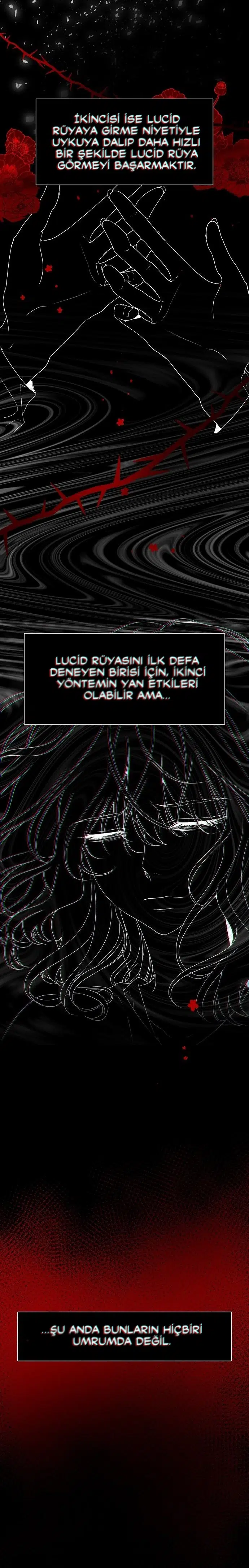 Rüyalardaki Özgürlük - Bölüm 2 Sayfa 25