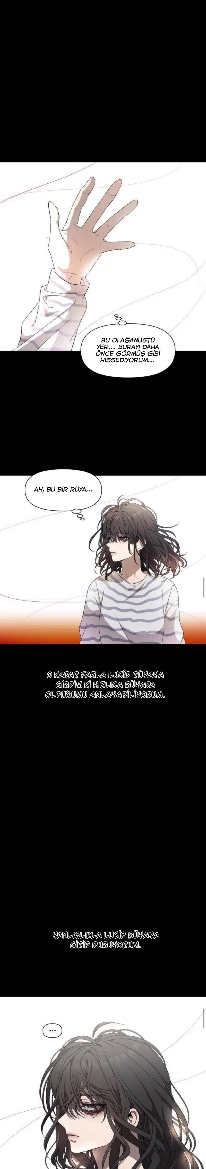 Rüyalardaki Özgürlük - Bölüm 5 Sayfa 11