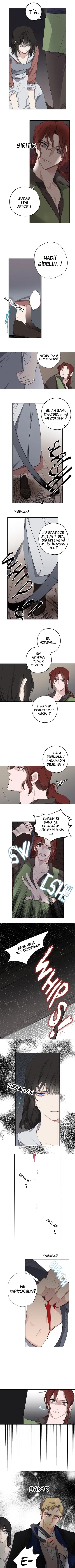 Bir Tiranın Kalbi - Bölüm 3 Sayfa 1