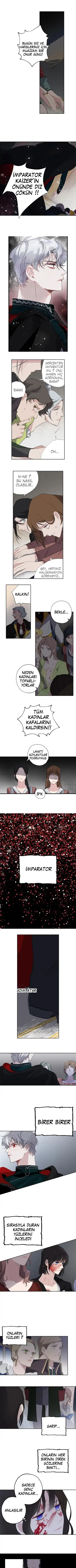 Bir Tiranın Kalbi - Bölüm 6 Sayfa 2