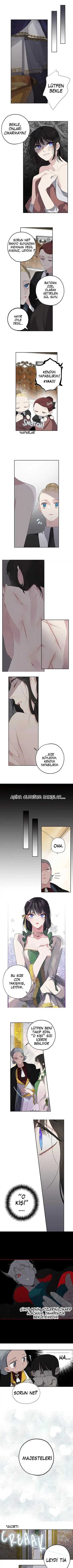 Bir Tiranın Kalbi - Bölüm 8 Sayfa 1