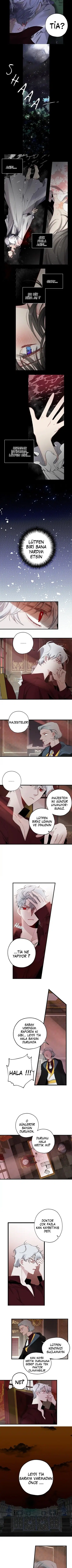 Bir Tiranın Kalbi - Bölüm 13 Sayfa 3